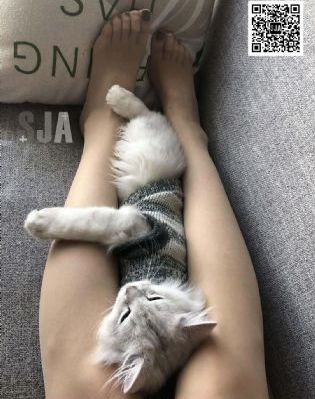 韩国高清大片免费观看在线_电影免费观看